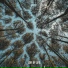 LoFi of Life