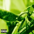 NEWER-MORE