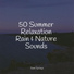 Forest Soundscapes, Zarobi, Avslappning Sound