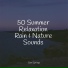 Forest Soundscapes, Zarobi, Avslappning Sound