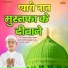 Qari Parvez Qasmi