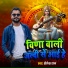 Shailesh Raj