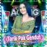 Arlida Putri feat. Ageng Music
