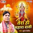 Kumar Vinit