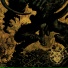 Horn of the Rhino