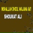 Shoukat Ali