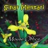 Mouse Office