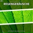 Regenstimmung, Regengeräusche, Schlafmusik