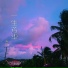 秦沐