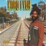 Addis Allstars, Addis Records