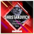 Novosibirsk Chamber Orchestra, Mikhail Turich