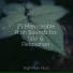 Forest Soundscapes, ASMR Rain Sounds, Regen