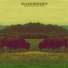 Blackberries