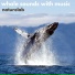 Whale