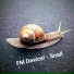 FM Device