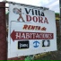Los Amigos De Dora