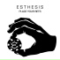 Esthesis
