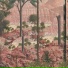 Jetta