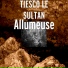 Tiesco le sultan
