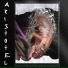 Aristotel