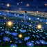 Leon Aamon