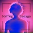 SonTeg