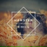 The Hamster Helper