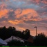 Hoogway, Krynoze