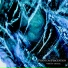 Phantom Perception
