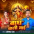 Abhishek Pandey
