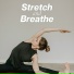Hatha Yoga Maestro