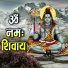 Raman Singh