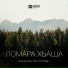 Мадина Юсупова