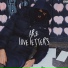 Arz
