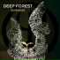 Deep Forest