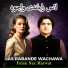 Falak Naz Marwat