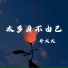 乔大大