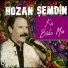 Hozan Şemdîn