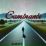 Anawy