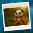 Medi Panda