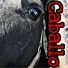 Caballo