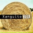Xanguito feat. Apol.lònia