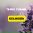 Temel Turabi
