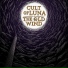 The Old Wind