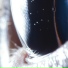 Roly Porter