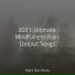 Rain Sound Plus, Nature Recordings, Pink Noise