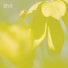 IDYLL