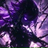 Vlxdimir
