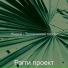 Рэгги проект