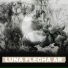 Flecha AR